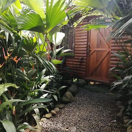 Arenal Rustic Lodge Alajuela Kültér fotó