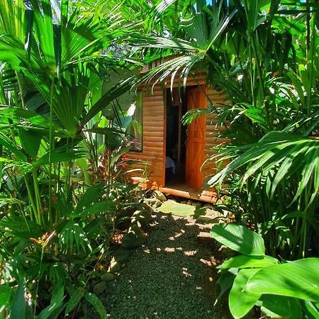 Arenal Rustic Lodge Alajuela Kültér fotó