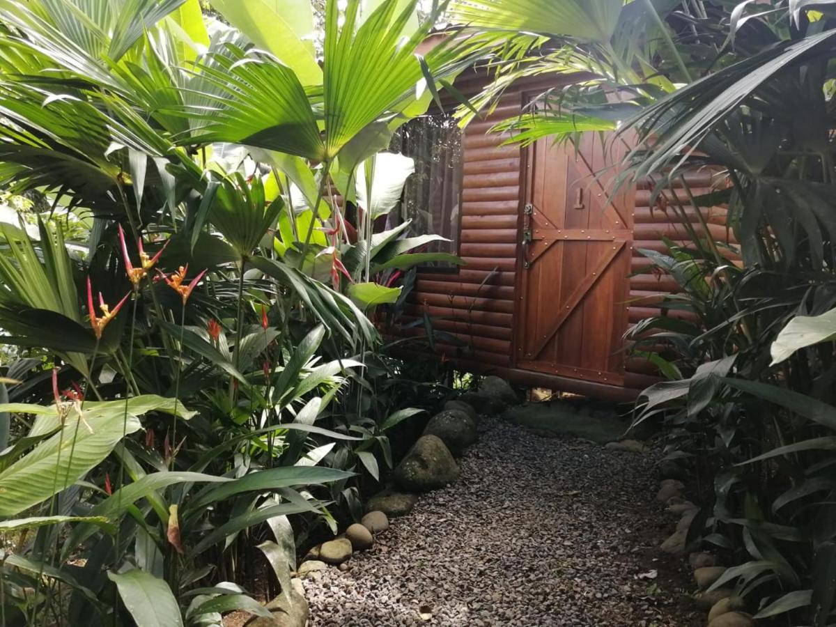 Arenal Rustic Lodge Alajuela Kültér fotó