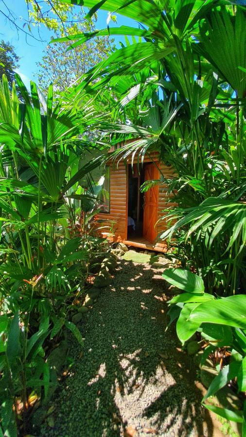 Arenal Rustic Lodge Alajuela Kültér fotó