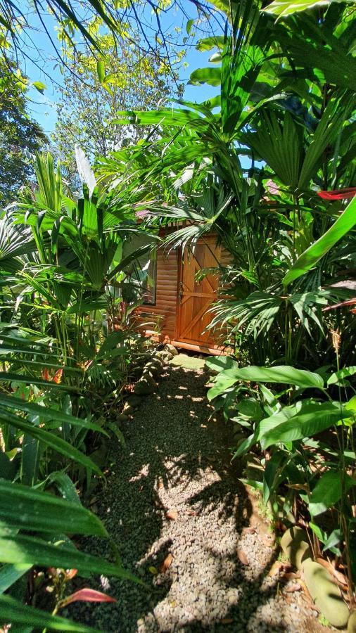 Arenal Rustic Lodge Alajuela Kültér fotó