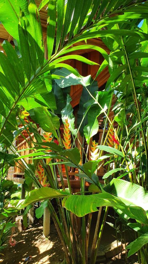 Arenal Rustic Lodge Alajuela Kültér fotó