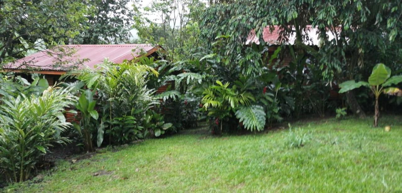 Arenal Rustic Lodge Alajuela Kültér fotó