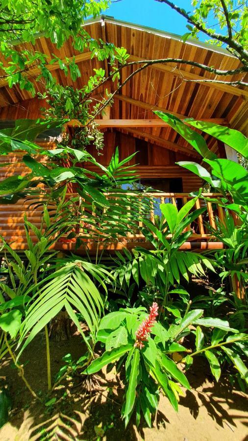 Arenal Rustic Lodge Alajuela Kültér fotó