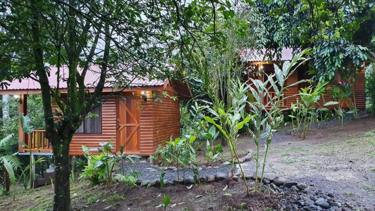 Arenal Rustic Lodge Alajuela Kültér fotó