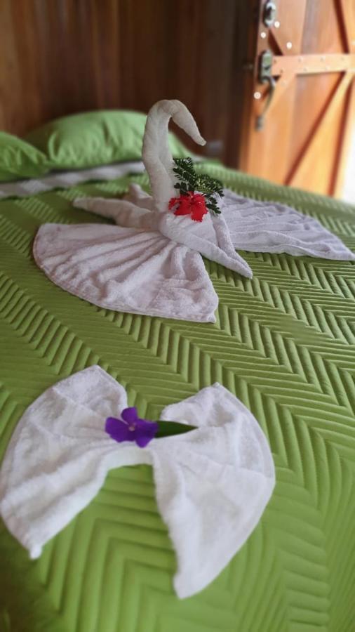 Arenal Rustic Lodge Alajuela Kültér fotó
